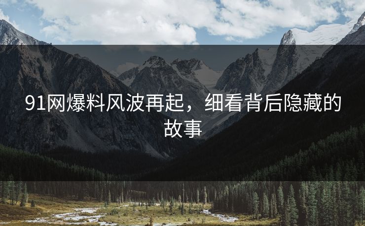 91网爆料风波再起，细看背后隐藏的故事